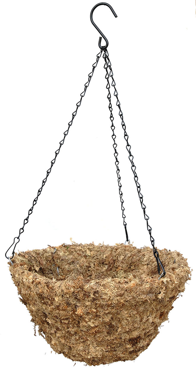 Sphagnum moss hanging basket 12"