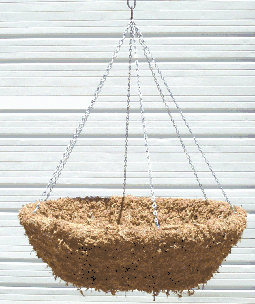 Sphagnum moss hanging basket 36"