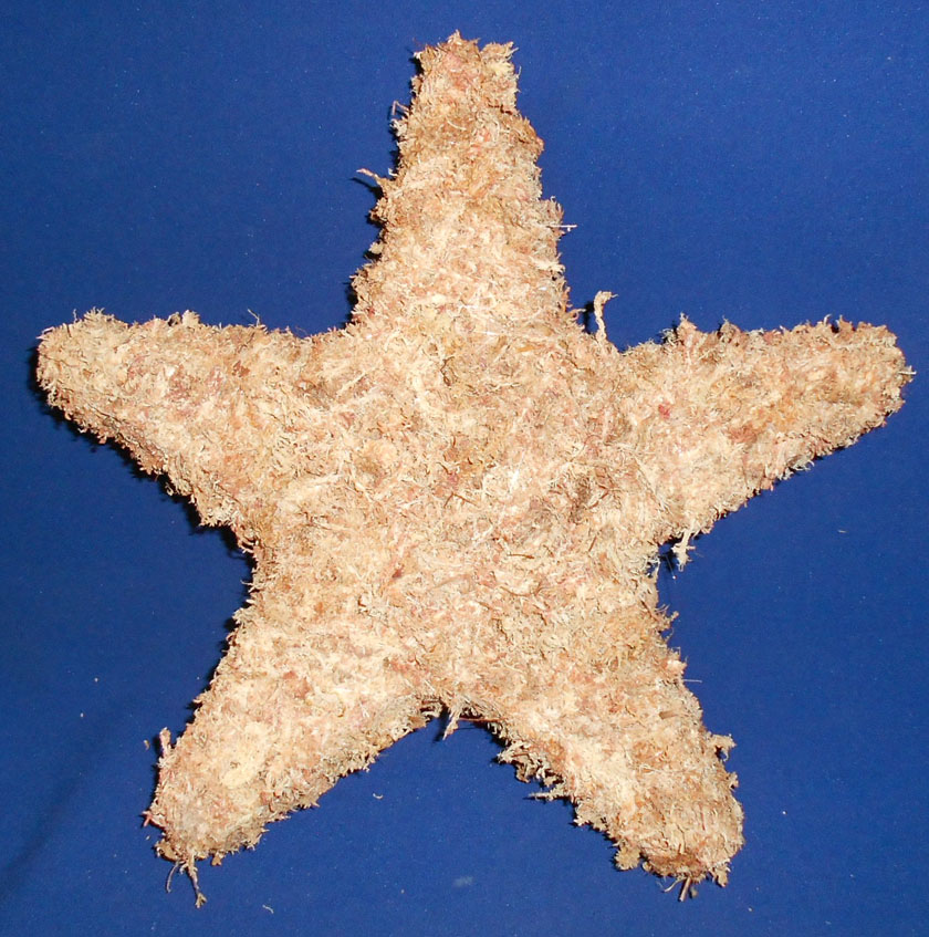Star Living Wreath