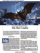 Stocks & Commodities V. 43:10 (2227): The Bat Condor by Cristian Carnio
