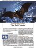 Stocks & Commodities V. 43:10 (2227): The Bat Condor by Cristian Carnio