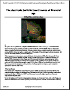 V.8:3 (114-116): The electronic bulletin board comes of financial age by Marshall Rens and Federico L. Brown