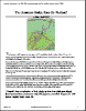 V.9:7 (281-282): The Summer Rally: Fact Or Fiction? by Arthur A. Merrill, C.M.T.