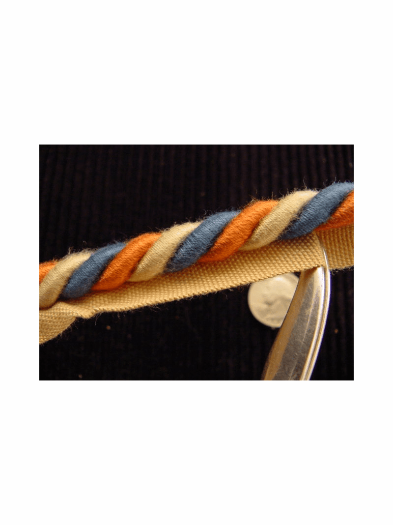 Vintage Twisted Cord Trim with Lip