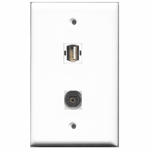 RiteAV - 1 Port USB A-A 1 Port Toslink  Wall Plate