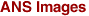 ANS Images