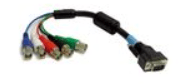 VGA Male to 5 BNC Females Cable - 1 ft