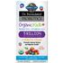 Dr. Formulated Probiotics Organic Kids+ 5 Billion CFU, 30 Yummy Chewables, Garden of Life