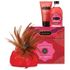 Kama Sutra Treasure Trove Gift Set - Strawberry Dreams, 1 Kit