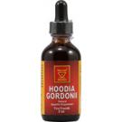 African Red Tea Imports Hoodia Gordoni Raw Leaves Liquid Tinc Tract in Glass Bottle 2 OZ  TEMPORARILY UNAVAILABLE