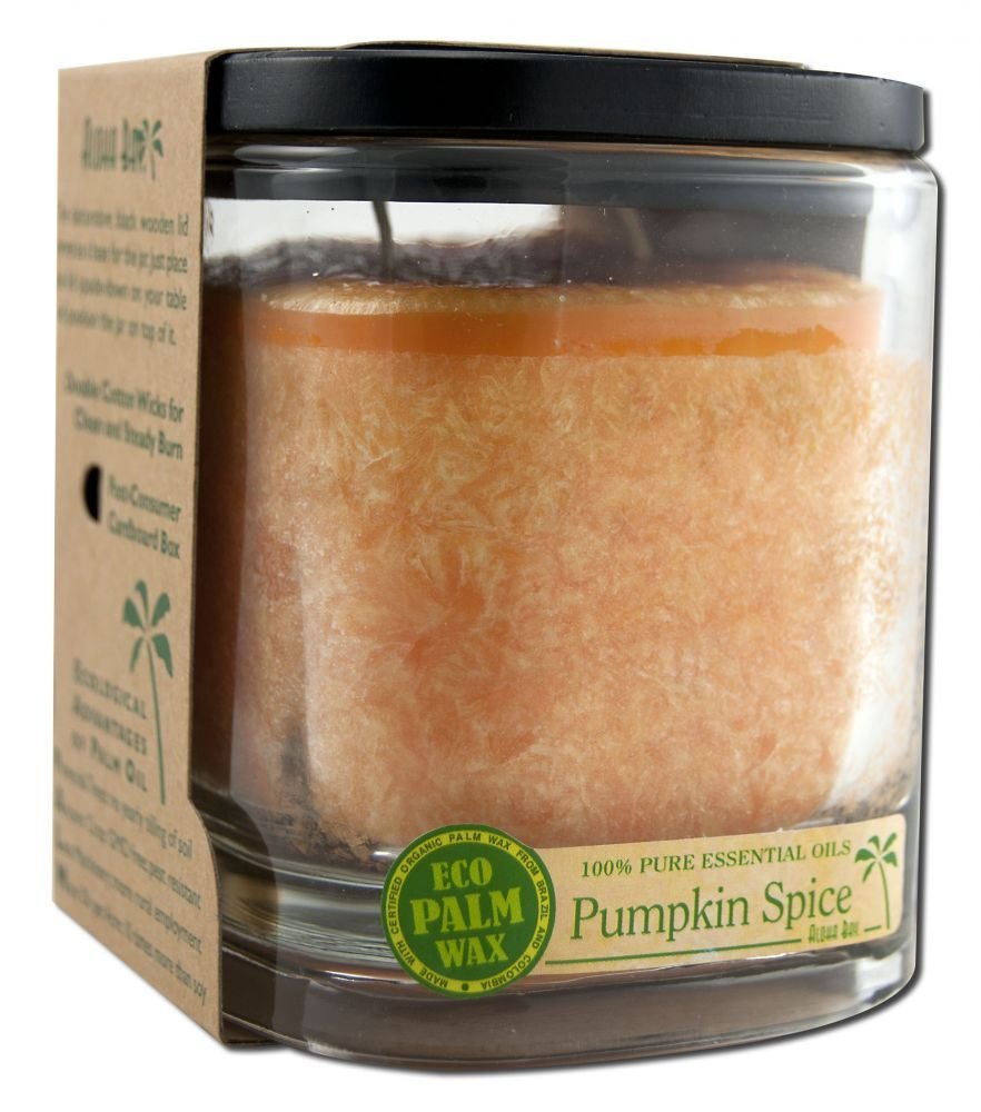 Aloha Bay Aloha Jar Pumpkin Spice Orange 8 oz
