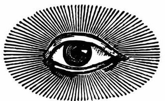 Anima Mundi Apothecary He Shou Wu Hair Strength 5 ounce