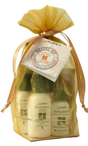 Aubrey Combo/Dry Travel Kit 4 items-OUT OF STOCK