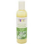 Aura Cacia  Massage Cream Ginger/Mint 4 oz