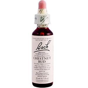 Bach Flower Essences Flower Essence Chestnut Bud 20 ml