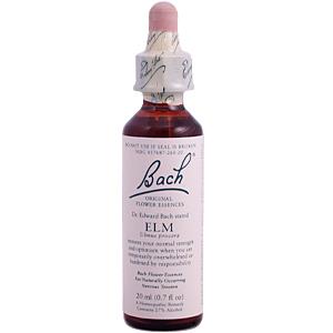 Bach Flower Essences Flower Essence Elm 20 ml