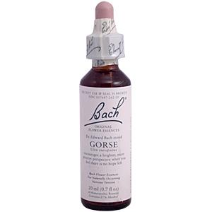 Bach Flower Essences Flower Essence Gorse 20 ml