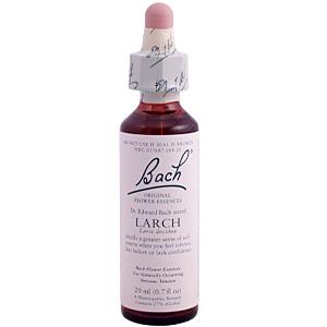 Bach Flower Essences Flower Essence Larch 20 ml