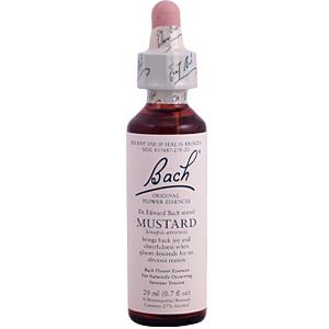 Bach Flower Essences Flower Essence Mustard 20 ml