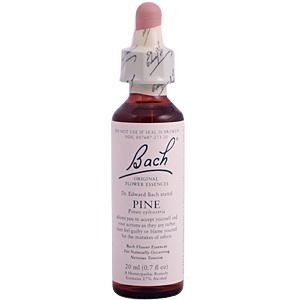 Bach Flower Essences Flower Essence Pine 20 ml