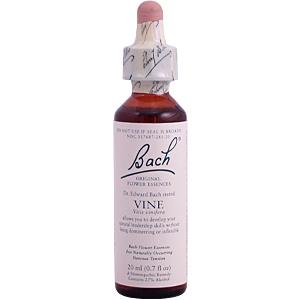 Bach Flower Essences Flower Essence Vine 20 ml