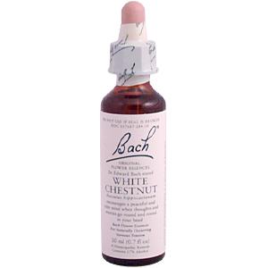 Bach Flower Essences Flower Essence White Chestnut 20 ml