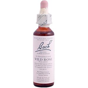 Bach Flower Essences Flower Essence Wild Rose 20 ml