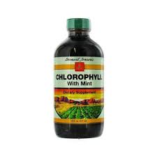 Bernard Jensen Chlorophyll Mint Flavor Liquid 8 OZ-OUT OF STOCK