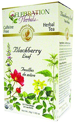 Celebration Herbals - Blackberry Leaf Organic 24 bag