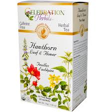 Celebration Herbals - Hawthorn Leaf & Flower Organic 24 bag