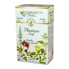 Celebration Herbals - Plantain Leaf Organic 24 bag