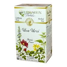 Celebration Herbals - Uva Ursi Tea Organic 24 bag-UNAVAILABLE