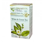 Celebration Herbals - White & Green Tea Organic 24 bag