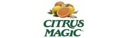 Citrus Magic - Air Freshener Solid Evergreen 8 OZ