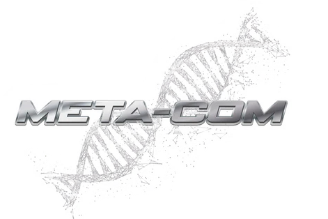 META-COM SUPPLEMENTS Plasmic Pump 25 Servings 370g Unicorn Candy