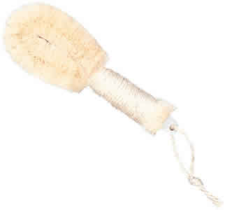 Earth Therapeutics Purest Palm Body Brush 1 UNIT     TEMPORARILY UNAVAILABLE