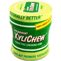 Epic Dental GUM,SPEARMINT,60 PC JAR