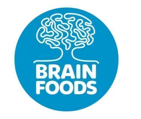 Brain Foods