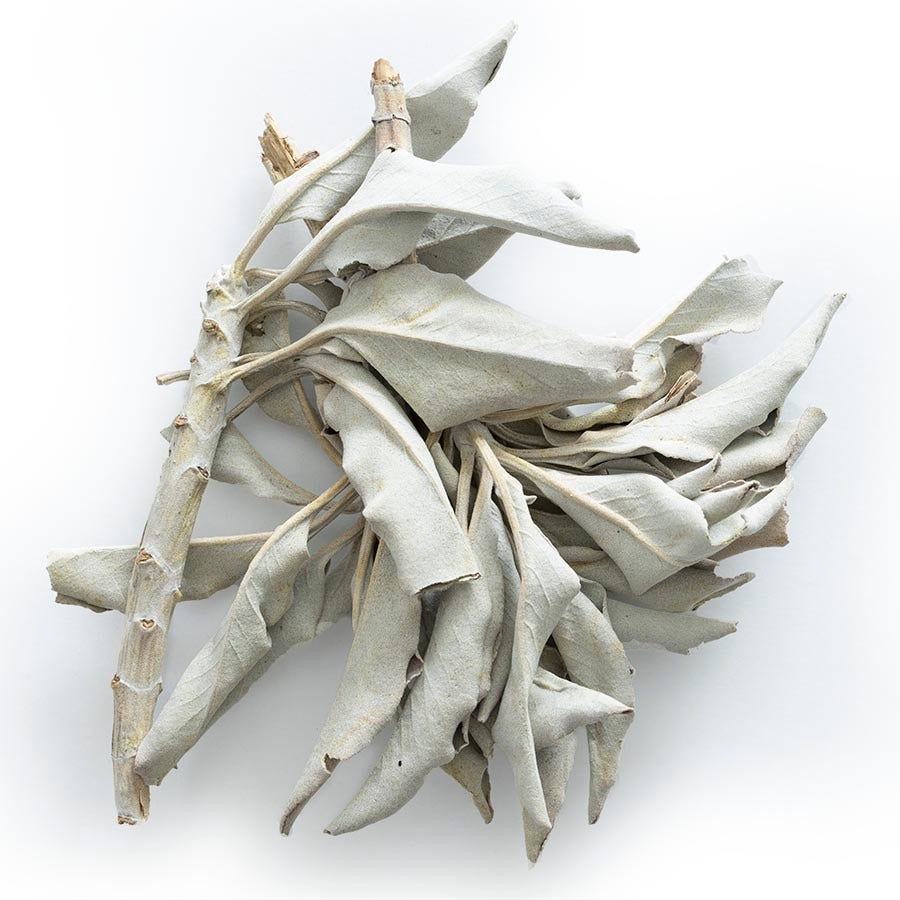 Frontier White Sage Incense, Whole 1 lb.