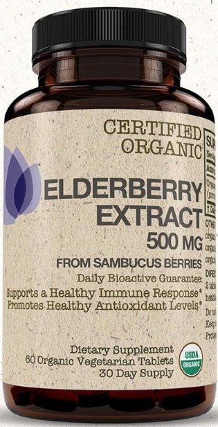 Futurebiotics Elderberry 500mg Organic 60 vtb