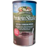 Garden Greens - Spirugreens Drink,Chocolate 450 grams