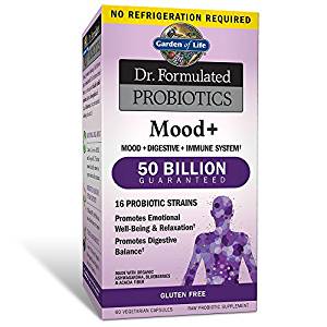 Garden of Life - Dr. Formulated Probiotics Mood+ Shelf Stable 60count