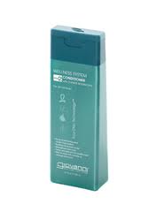 Giovanni Cosmetics Travel Size Wellness System Conditioner (Chinese Herbs) 2 oz-UNAVAILABLE