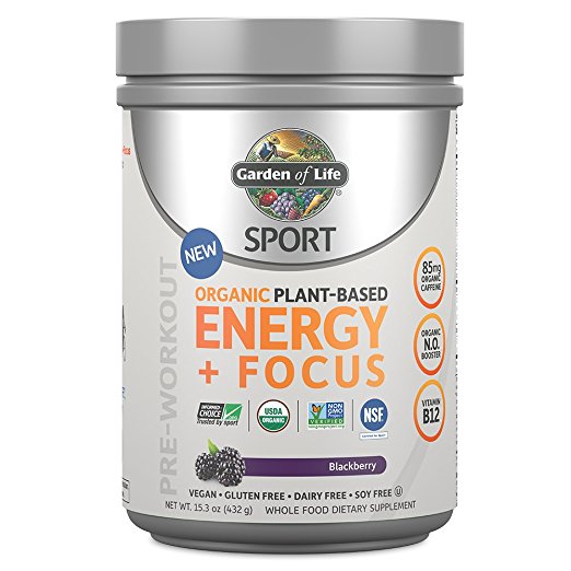 Garden of Life - Sport Org Pre Workout Energy+Focus Blackberry 15.3 Oz