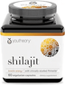 Youtheory Shilajit 60 Veg Caps