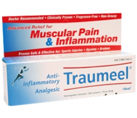 Heel - Traumeel Ointment 1.76 oz. (50 g)