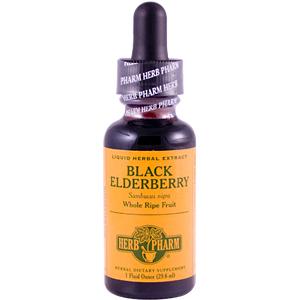 Herb Pharm - Black Elderberry Extract 1 OZ-OUT OF STOCK