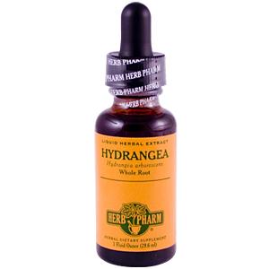 Herb Pharm - Black Elderberry Glyc 1 OZ-OUT OF STOCK