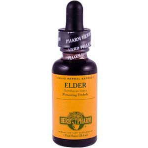 Herb Pharm - Echin/Gldseal Comp 4 OZ