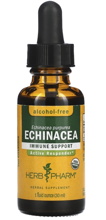 Herb Pharm - Echinacea (Af)Glycerite 1 OZ